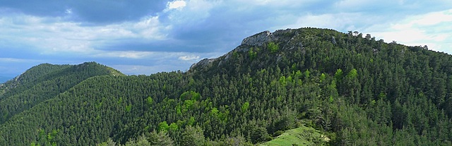 ZEC. Sierra de San Miguel