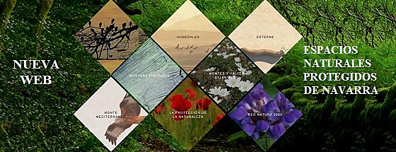 Espacios Naturales Protegidos