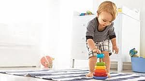 Desarrollo Cognoscitivo