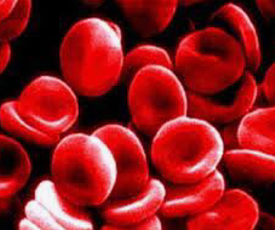 Circulació de la sang