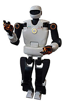 Pyrene arrive en France (LAAS)