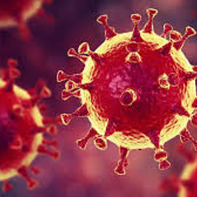 Timeline: 10 of the deadliest viruses