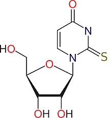 Teoría del mundo ARN