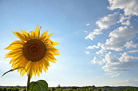 My mother’s birthday