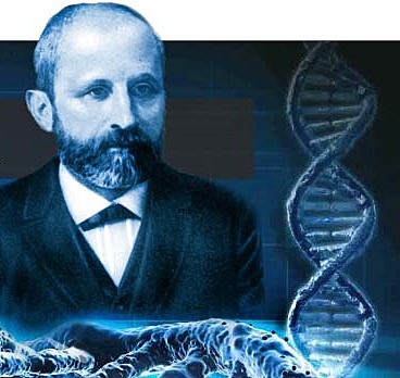 Primer aislamiento del ADN