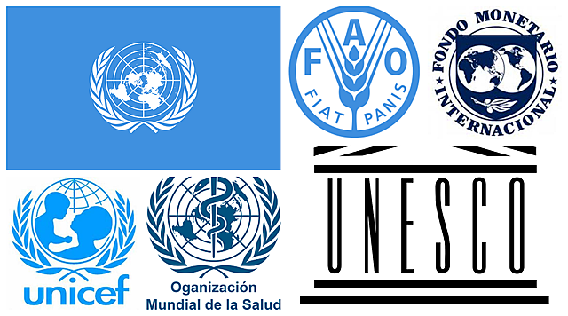 Organizaciones que permiten la institucionalización