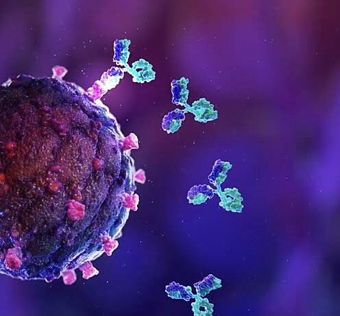 Anticuerpos monoclonales