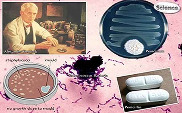 Penicilina en Odontología