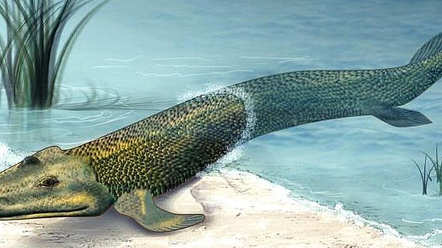 Primeros peces (500 millones de años)