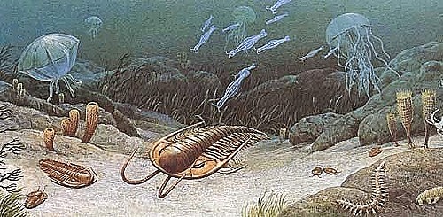 Primeros animales invertebrados (1000 millones de años)