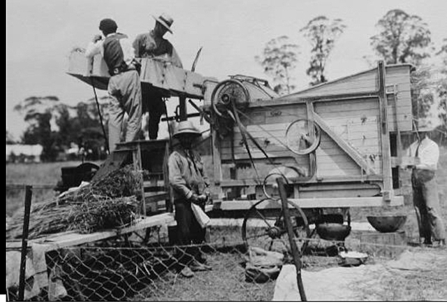 Trilladora mecánica