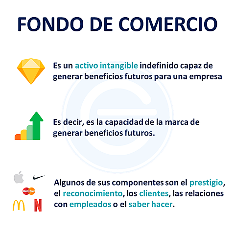 Elementos que integran el Fondo de Comercio