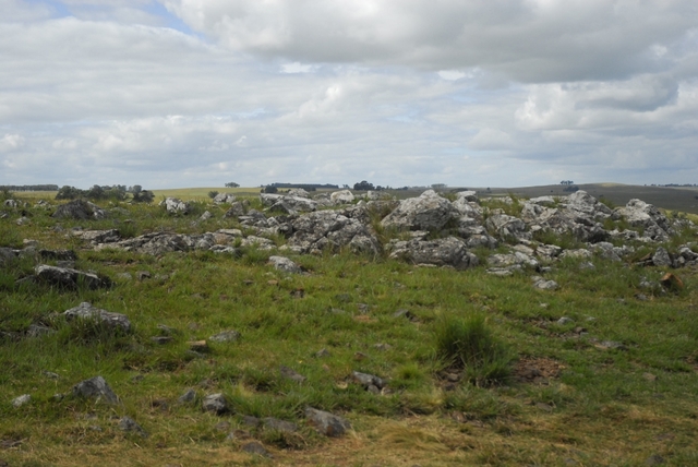 Puerto de Aratirí iniciará obras a fines de 2011