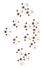 Descubrimiento de la reacción en cadena