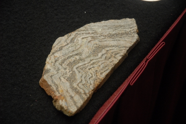 Aratirí pedirá este año el permiso para comenzar a extraer hierro