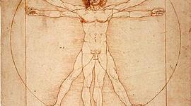 Timeline: Contexto histórico del funcionalismo y estructural funcionalismo