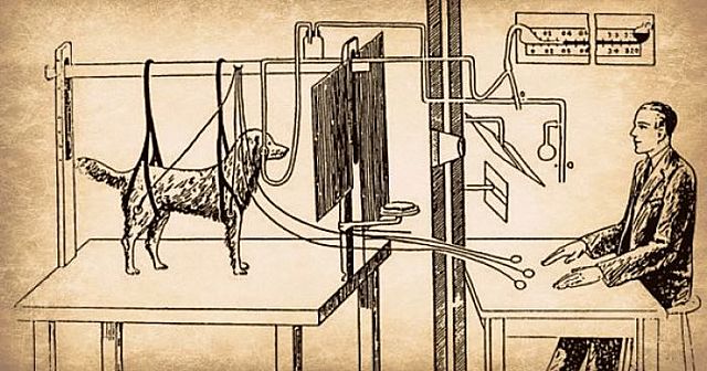 Condicionamiento clasico