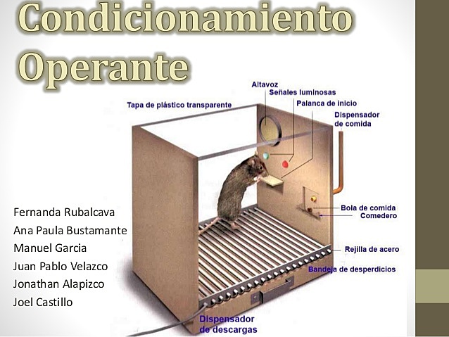 Condicionamiento operante