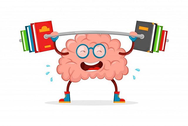 Producción y aplicación 12 al 20 de noviembre