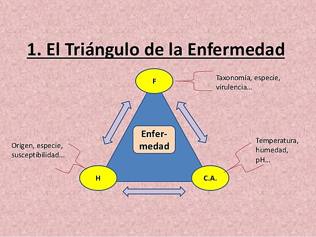 TAXONOMÍA DE LAS ENFERMEDADES