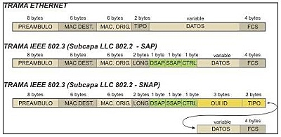 Campos de la Trama Básica de Ethernet 802.3