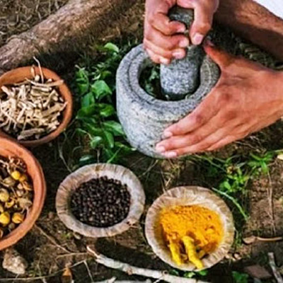 Timeline: HISTORIA DEL PARALELISMO ENTRE LA MEDICINA Y LA FITOPALOGIA