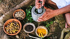 Timeline: HISTORIA DEL PARALELISMO ENTRE LA MEDICINA Y LA FITOPALOGIA