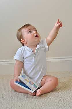 DECIMO CUARTO MES - DESARROLLO COGNOSCITIVO