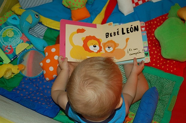 DECIMO CUARTO MES - DESARROLLO VISUAL