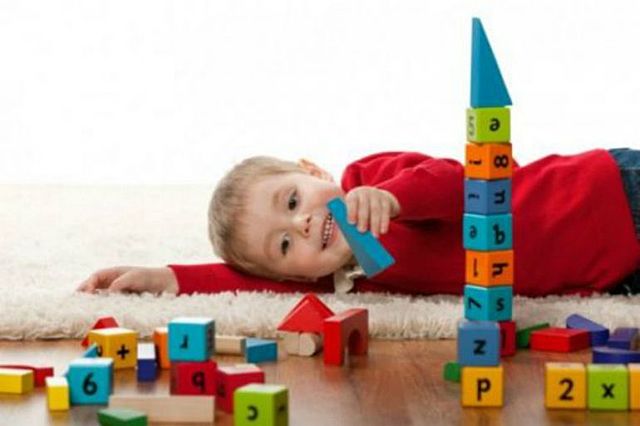 VIGESIMO CUARTO MES - DESARROLLO COGNOSCITIVO