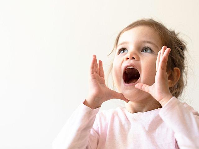 VIGESIMOPRIMER MES/ DESARROLLO DEL LENGUAJE