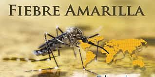 FIEBRE AMARILLA