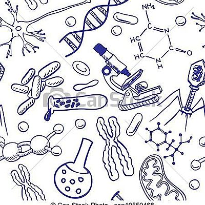 Timeline: Nivelación Primer período