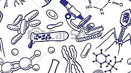 Timeline: Nivelación Primer período