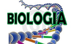 Timeline: IV PERIODO BIOLOGIA 601