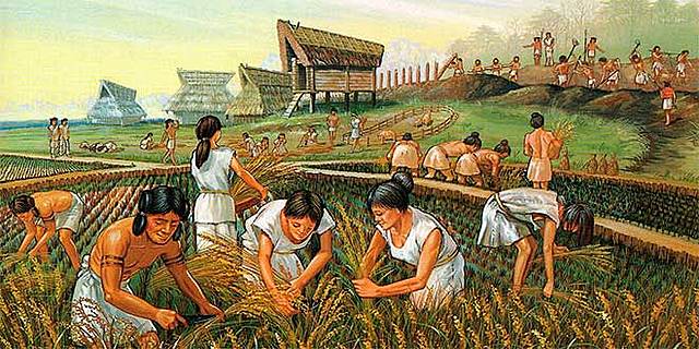 SOCIEDADES AGRICOLAS