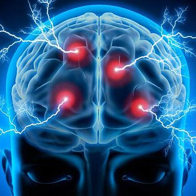 Timeline: Neurociencia