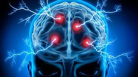 Timeline: Neurociencia