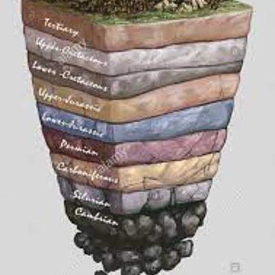 Timeline: Geologic Times