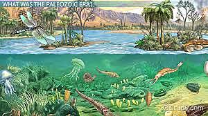 Ordovician and Cambrian period