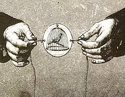 La persistencia retiniana