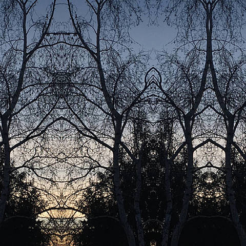 Andrew Tomasello releases 'Neon Grey'