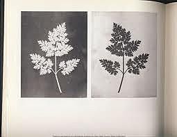 William Henry Fox Talbot , invenció del Calotip