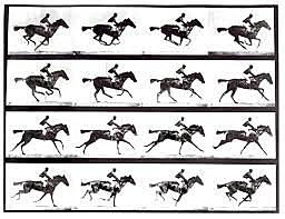 Eadweard Muybridge
