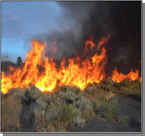 Provoco un incendio detrás de mi casa