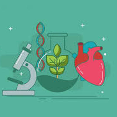 Timeline: cuarto periodo biologia