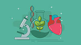 Timeline: cuarto periodo biologia