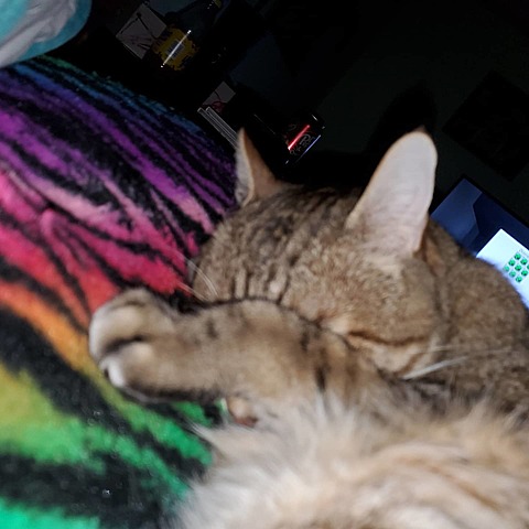 Cause 2 Proclamation of 1763