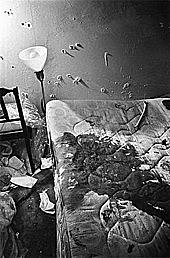 The Murder of Fred Hampton