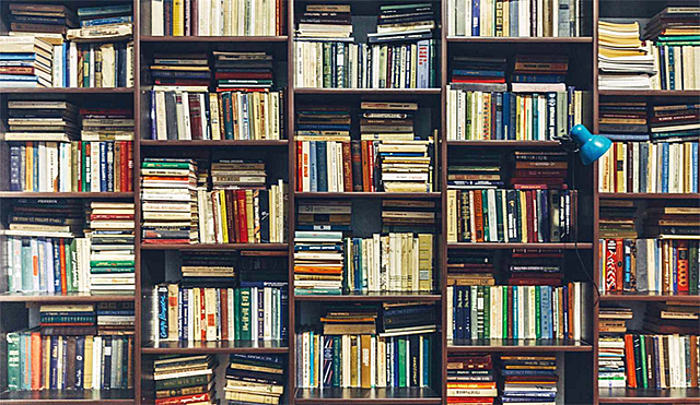 La metáfora y la metonimia (Teoría cognitiva)